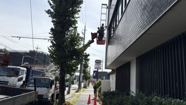 愛知県名古屋市西区　看板撤去作業