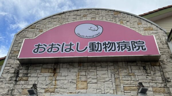 愛知県小牧市　動物病院様看板改修工事