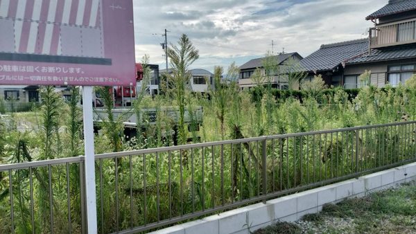 岐阜県大垣市　分譲案内看板撤去作業